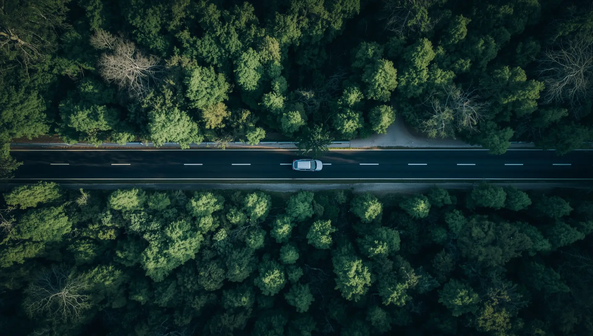 Kazimierz Dolny Wynajem Samochodu